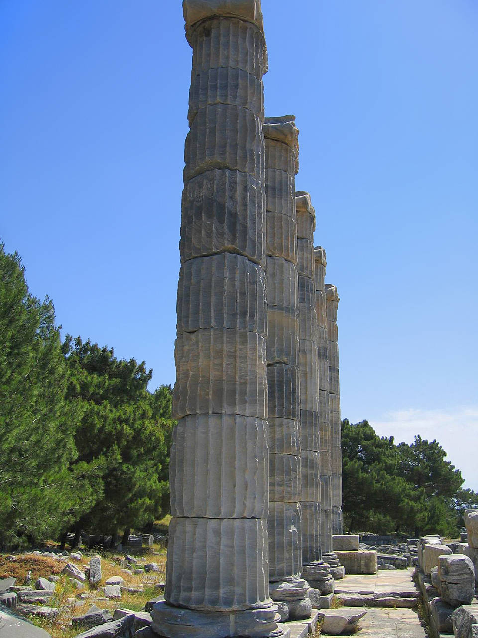 Priene Bildansicht von Citysam  