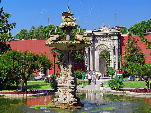  Bildansicht Reiseführer  Schwanenbrunnen im Palastgarten