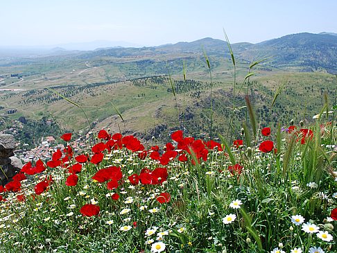 Pergamon Ruinen Fotografie Attraktion  