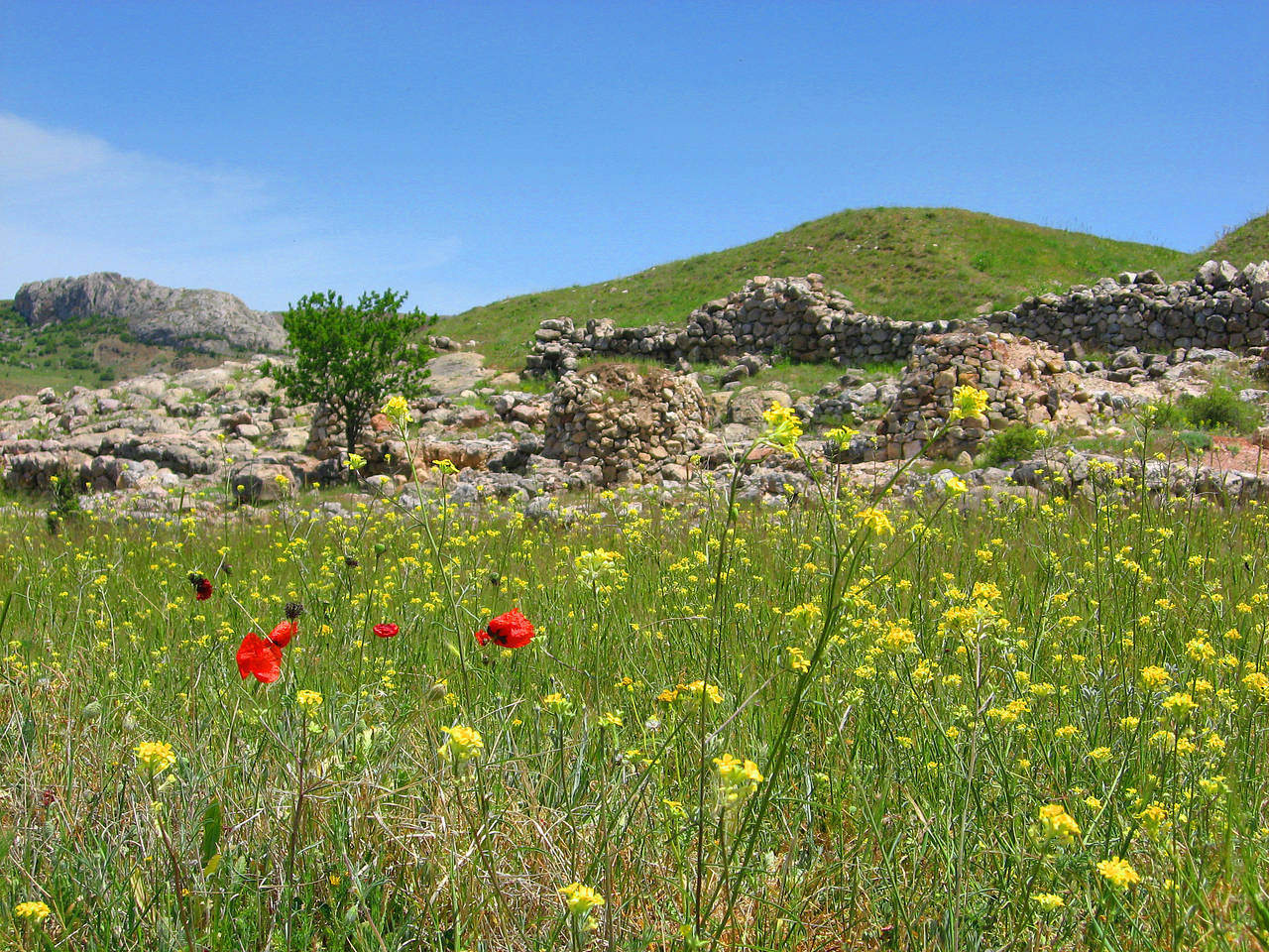 Hattuşa Foto 