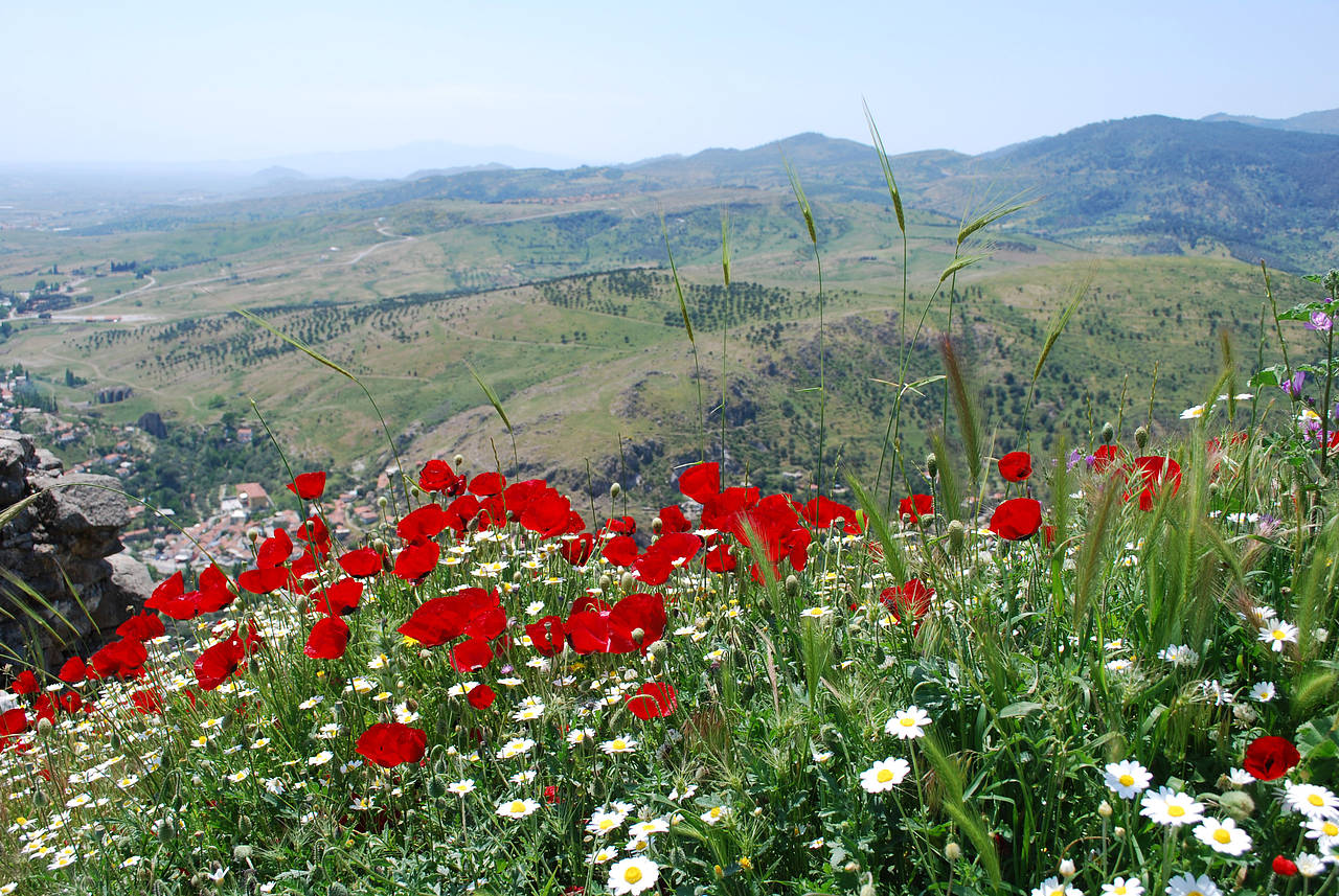 Foto Pergamon Ruinen