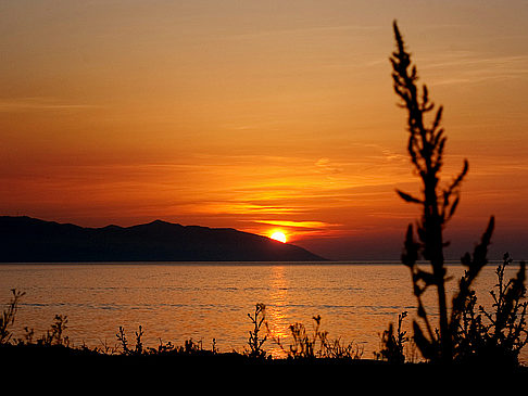 Foto Trabzon