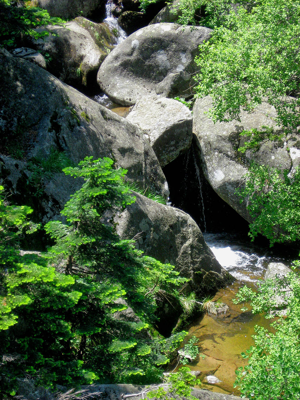 Uludağ-Nationalpark Foto 