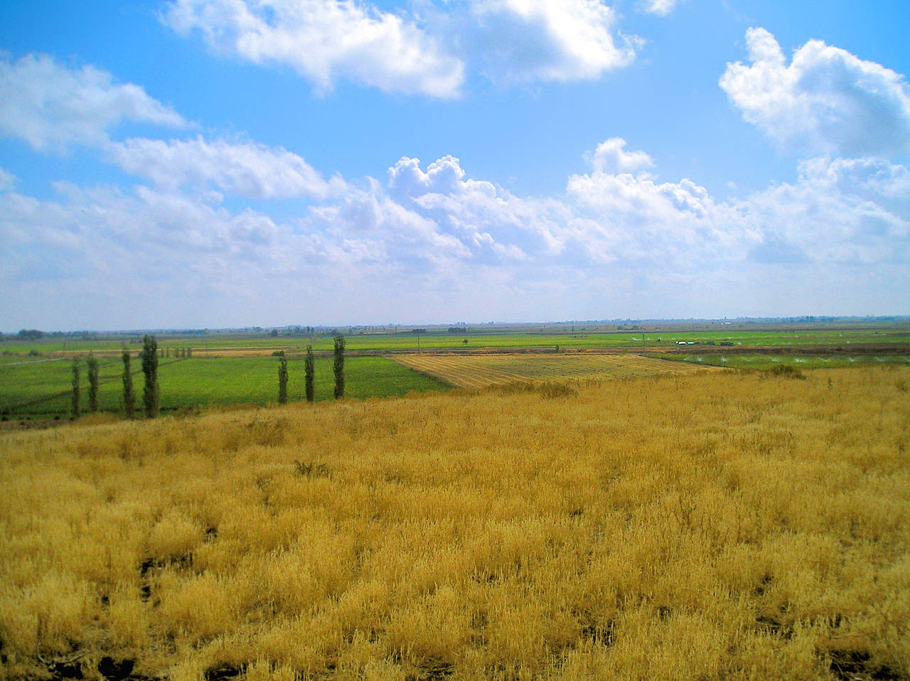 Fotos Konya